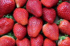 The impact of strawberries on the environment and biodiversity