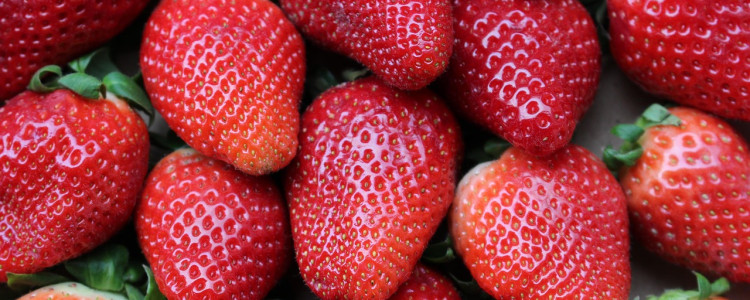 Strawberry symbolism and meaning