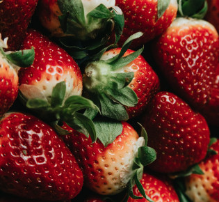 The impact of soil health on strawberry harvest quality