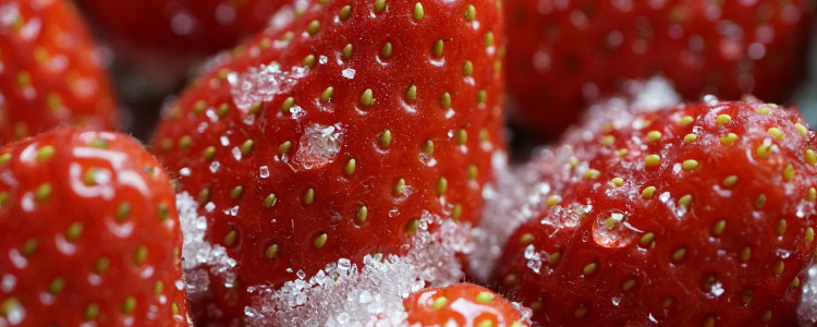 Genetics of the strawberry
