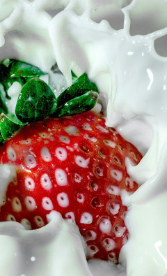 The Anti-inflammatory Effects of Strawberry Leaves