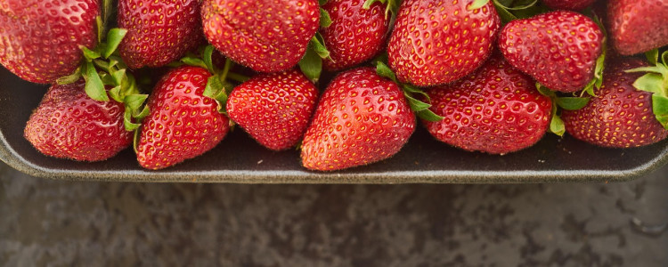 How to store freshly harvested strawberries