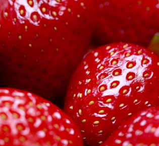 The benefits of using garden fabric to extend your strawberry growing season