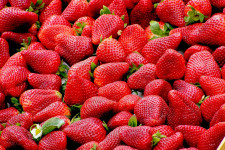 How to winterize your strawberry garden