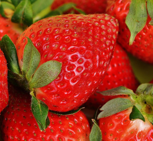 The benefits of using drip irrigation for strawberry plants