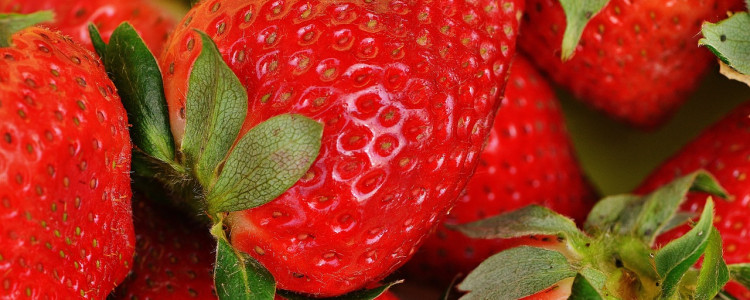 The competition for the world’s largest strawberry