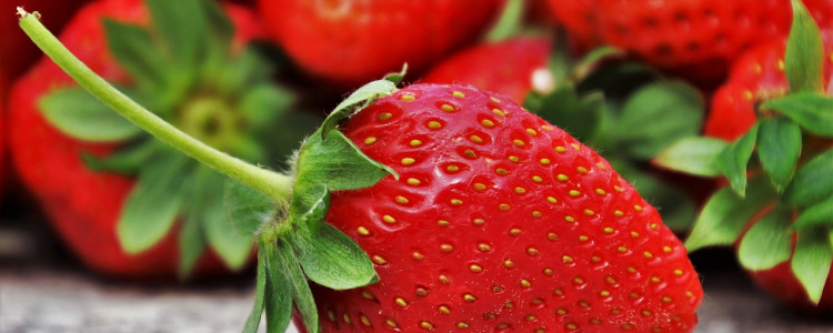 Strawberry Jello Recipe