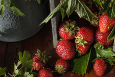 The best way to plant strawberries in containers