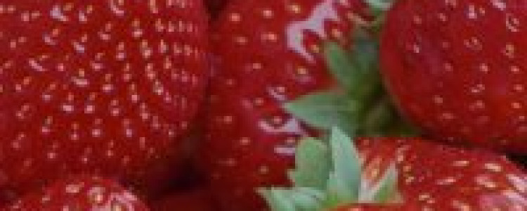 Benefits of Strawberries for Detoxification
