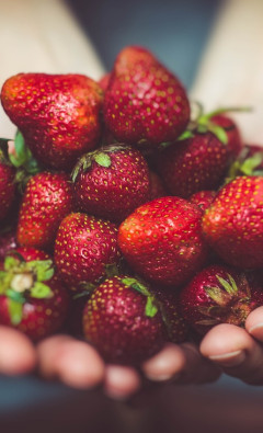 The Role of Strawberries in Boosting Energy Levels