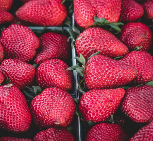 Understanding the difference between early, mid, and late season strawberry harvests