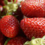 The benefits of hand-picking strawberries