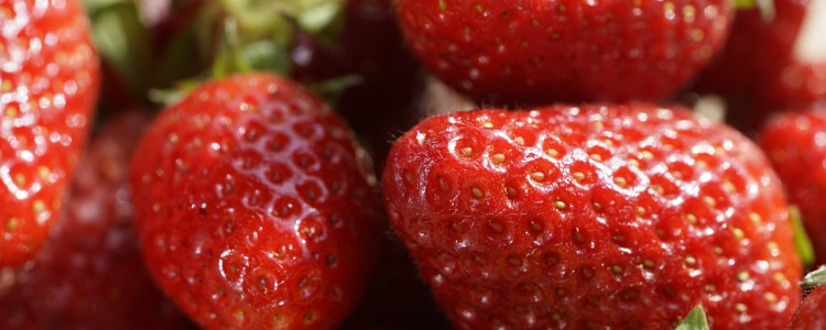 The benefits of hand-picking strawberries