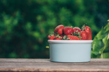 Tips for early season strawberry care