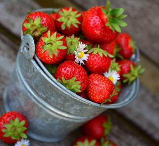 How to attract pollinators to your strawberry garden