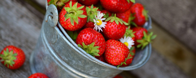 The Anti-inflammatory Properties of Strawberries